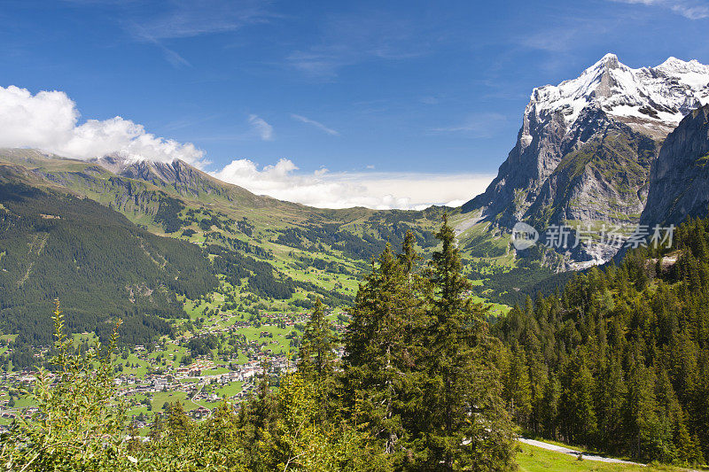 Grindelwald And Wetterhorn，瑞士阿尔卑斯山